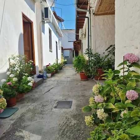 Herta Apartment Berat Zewnętrze zdjęcie