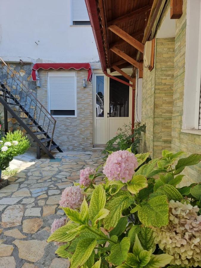 Herta Apartment Berat Zewnętrze zdjęcie
